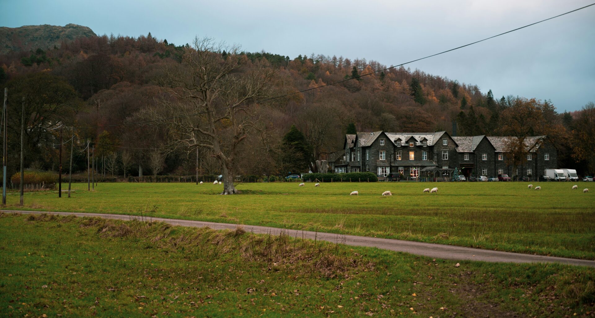 Cumbria field